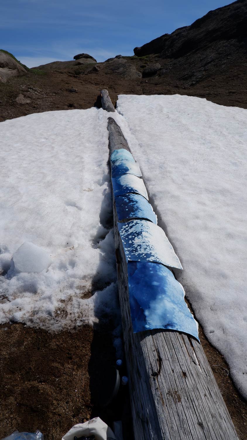 Le cianotipie di Roberto Ghezzi in lavorazione
 Le cianotipie di Roberto Ghezzi in lavorazione