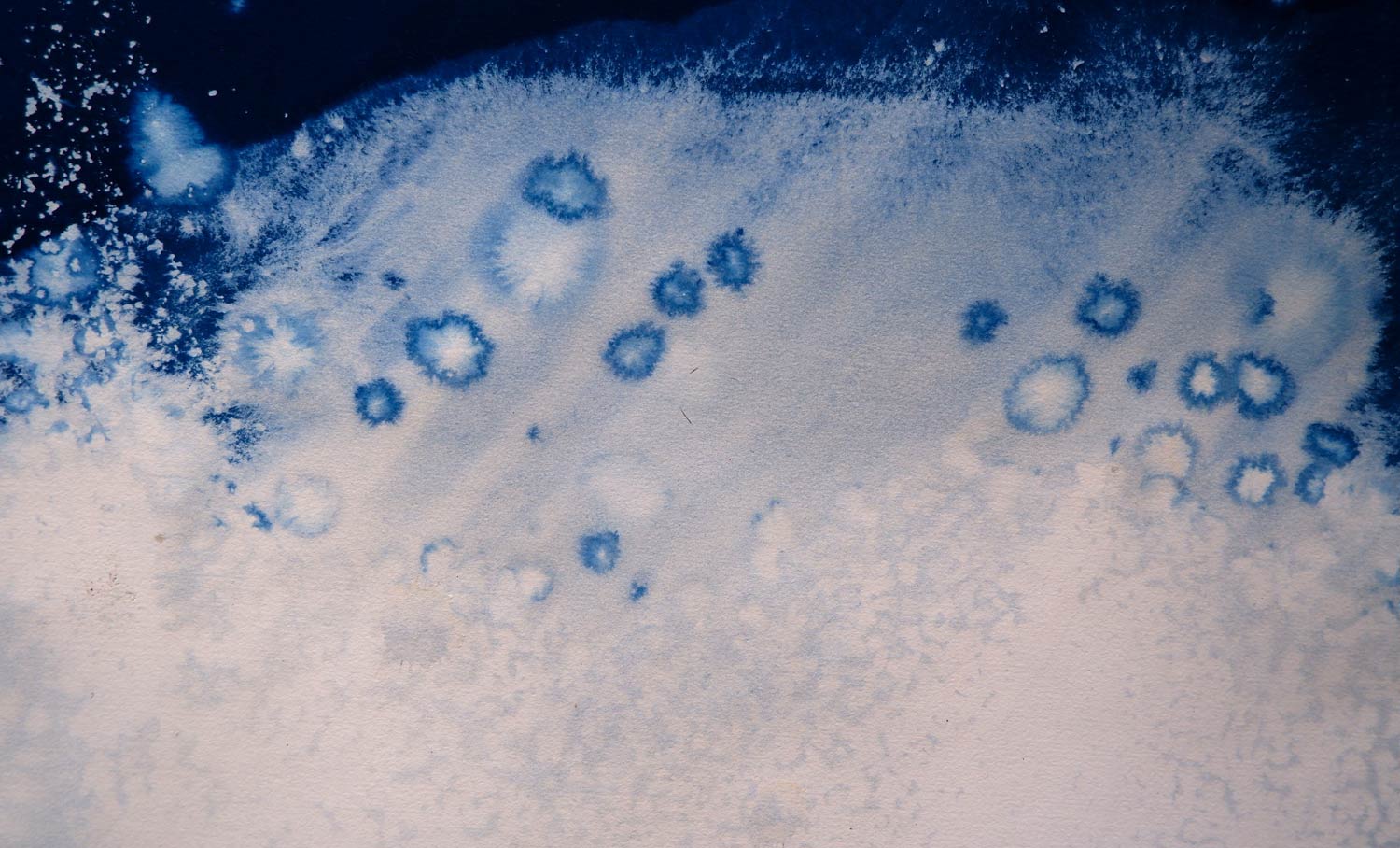 Roberto Ghezzi, Neve con alga (2022; cianotipia)
 Roberto Ghezzi, Neve con alga (2022; cianotipia)