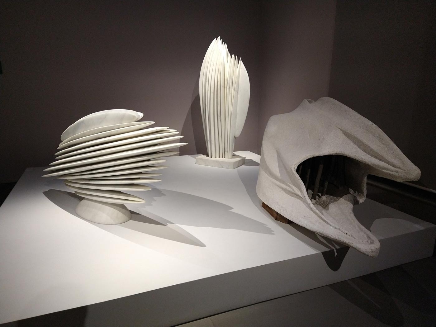 Allestimenti della mostra All Inclusive 
