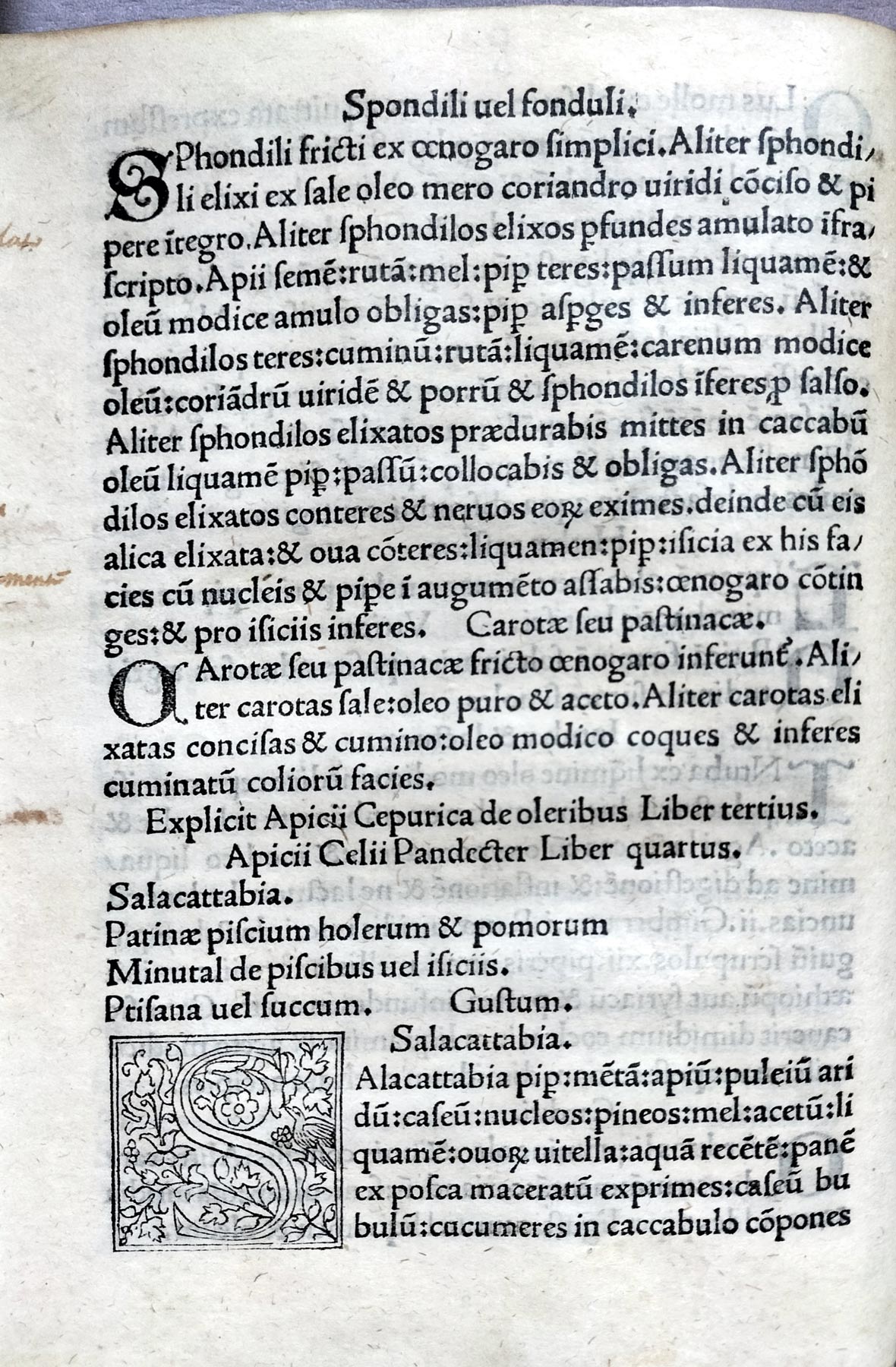 Ce que les gens mangeaient dans la Rome antique: recettes tirées du De ...