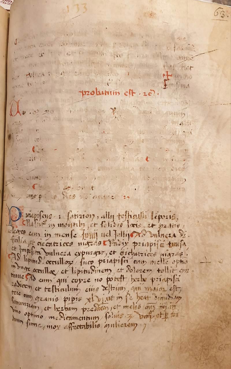 Aldini 211, pagina con scritta prohibitum est