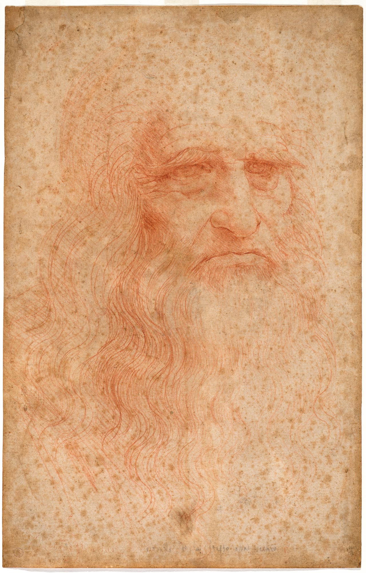 Leonardo da Vinci, Autoritratto (1517-1518 circa; pietra rossa su carta, tracce di pietra nera, 333 x 213 mm; Torino, Musei Reali-Biblioteca Reale, Dis. It. Scat. 1/30; 15571 D.C.)