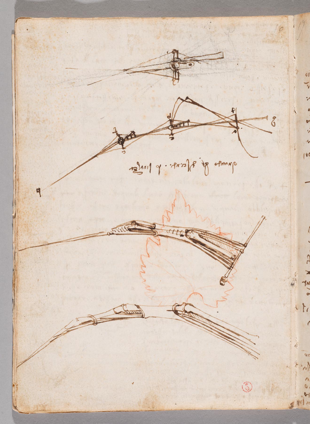 Leonardo da Vinci, Codice sul volo degli uccelli, f. 11v (1505 circa; manoscritto cartaceo con disegni a penna e inchiostro bruno; pietra rossa, tracce di pietra nera, In 4°, 213 x 154 mm; Torino, Musei Reali-Biblioteca Reale, Varia 95)