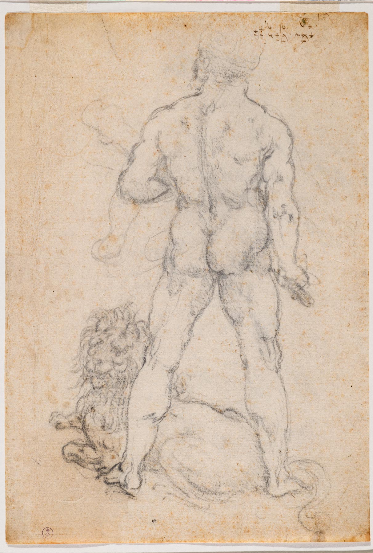 Leonardo da Vinci, Ercole con il leone nemeo (1506-1508 circa; carboncino e punta metallica su carta, 280 x 190 mm; Torino, Musei Reali-Biblioteca Reale, Dis It. Scat. 2/58; 15630 D.C.)
