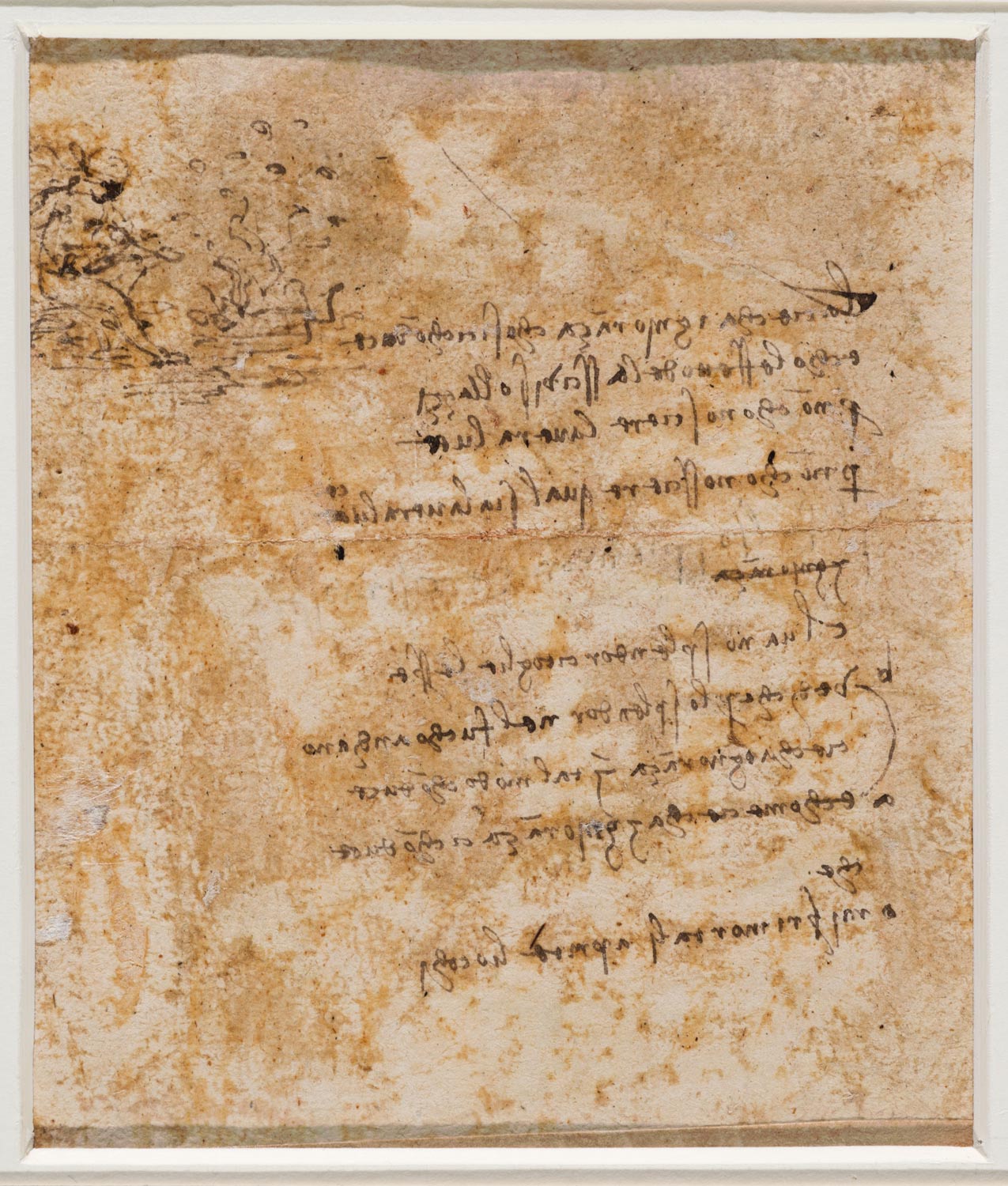 Leonardo da Vinci, Studi di muscolatura degli arti inferiori (verso) (1483-1485 circa; penna e inchiostro bruno su carta, 140 x 157 mm; Torino, Musei Reali-Biblioteca Reale, Dis It. Scat. 1/27; 15578 D.C.)