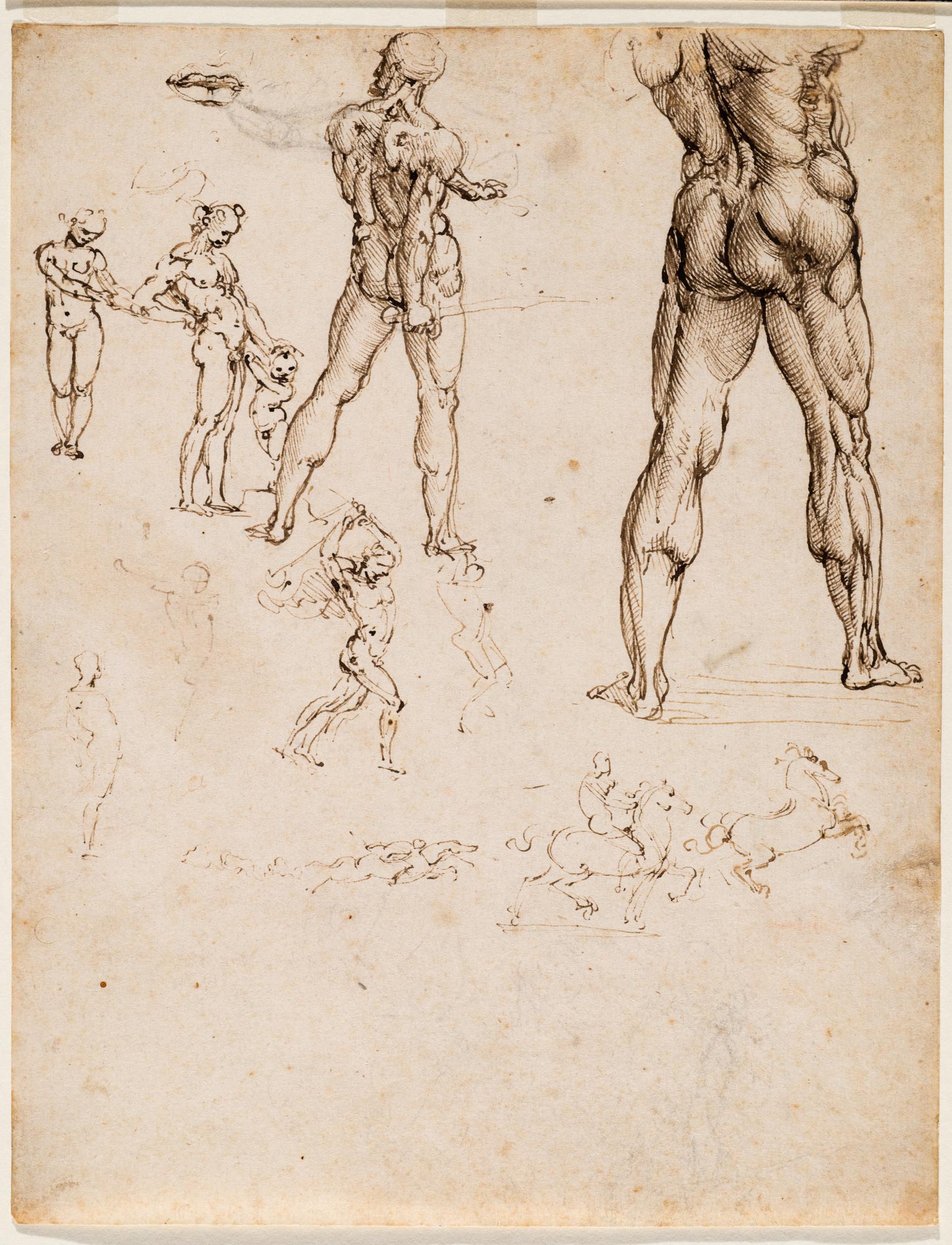 Leonardo da Vinci, Nudi per la Battaglia di Anghiari e altri studi di figura (1505-1508 circa; penna, inchiostro bruno e tracce di carboncino su carta; 255 x 198 mm; Torino, Musei Reali-Biblioteca Reale, Dis. It. Scat. 1/28; 15577 D.C.)