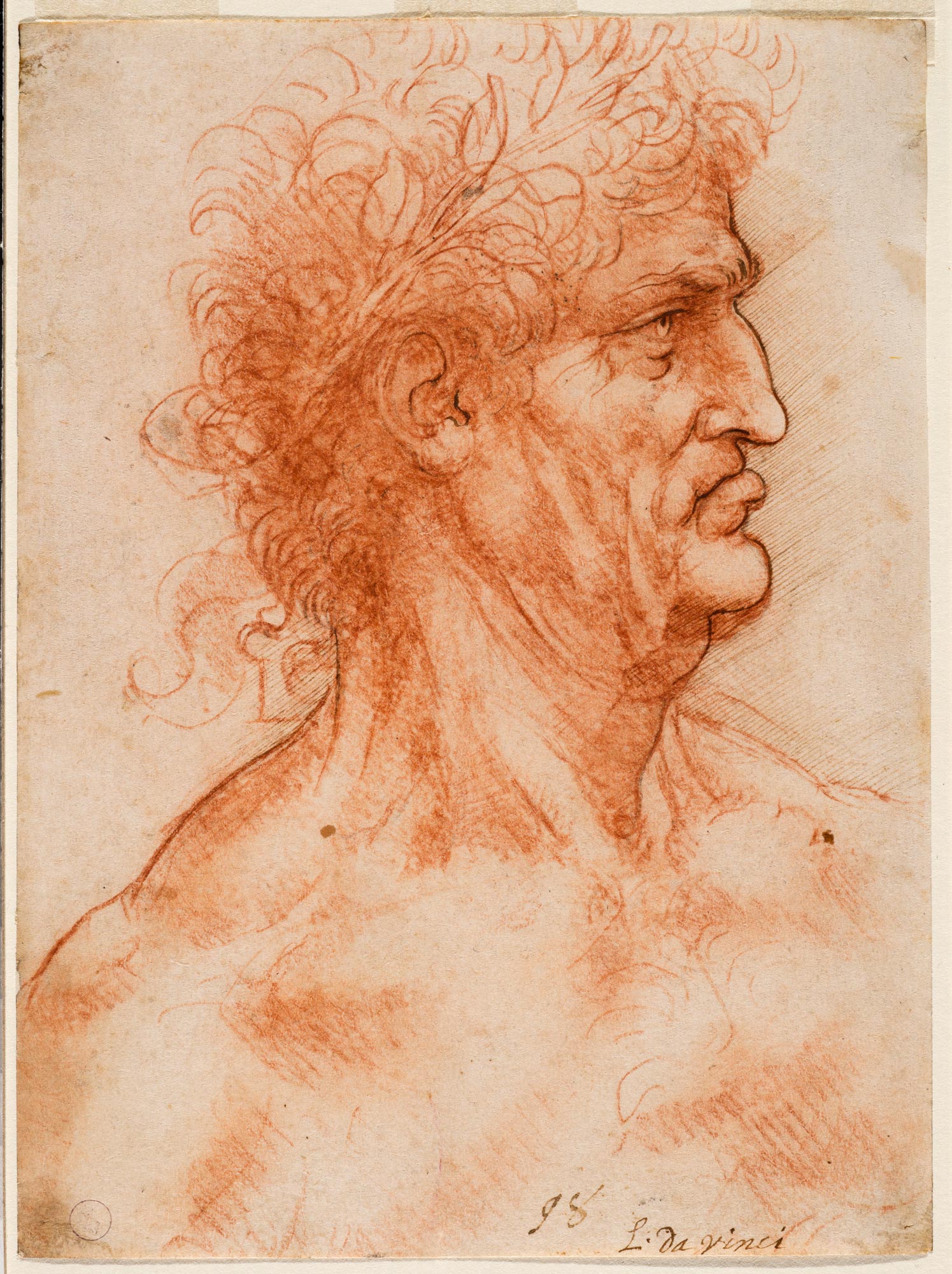 Leonardo da Vinci, Testa virile di profilo incoronata di alloro (1506-1510 circa; pietra rossa con contorni a penna su carta, 168 x 125 mm; Torino, Musei Reali-Biblioteca Reale, Dis It. Scat. 1/29; 15575 D.C.)