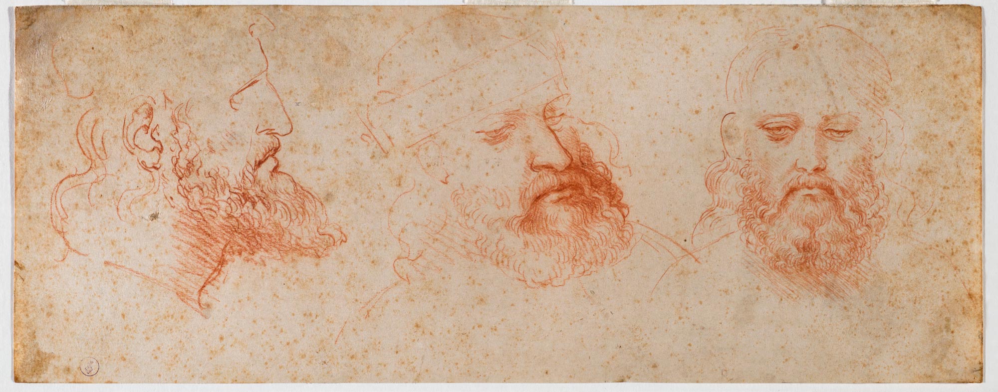 Leonardo da Vinci, Tre vedute di testa virile con barba (1502 circa; pietra rossa su carta, 110x283 mm; Torino, Musei Reali-Biblioteca Reale, Dis. It. Scat. 1/26; 15573 D.C.)