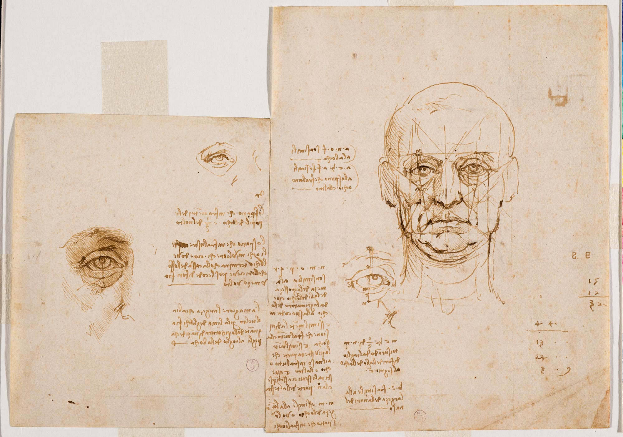 Leonardo da Vinci, Studio di proporzioni del volto e dell’occhio (1489-1490 circa; penna e inchiostro bruno, punta metallica su carta; 197x159 mm il disegno a destra, 144x117 mm il disegno a sinistra; Torino, Musei Reali-Biblioteca Reale; Dis. It. Scat. 1/20-21; 15574 e 15576 D.C.)