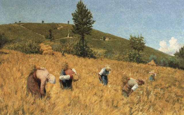 Angelo Morbelli, Mietitrici (1885 circa; olio su tela, 50 x 80 cm; Collezione privata)