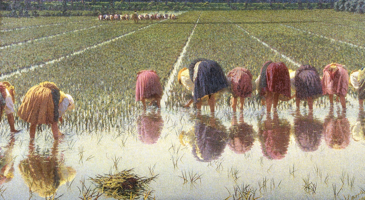 Angelo Morbelli, Per ottanta centesimi! (1895-1897; olio su tela firmato e datato, 67,5 x 121,5 cm; Vercelli, Museo Borgogna)