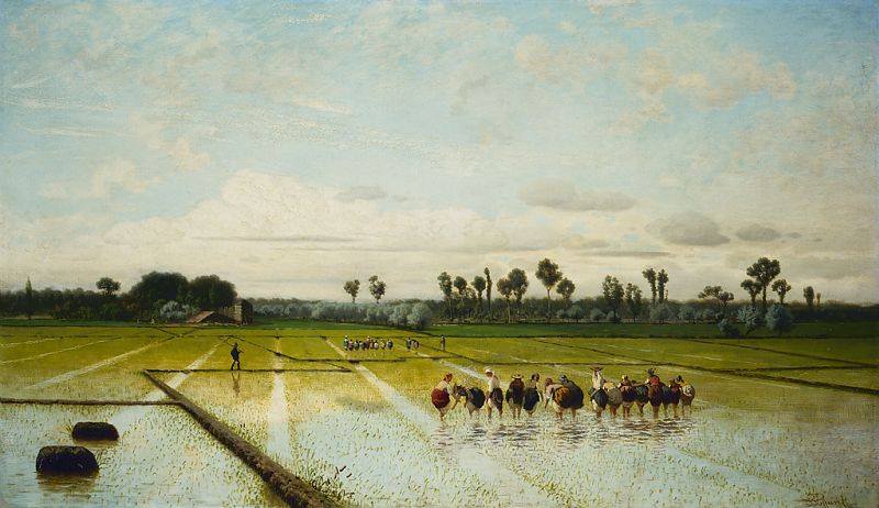 Luigi Steffani, Una risaia (1864; olio su tela, 92 x 158,5 cm; Milano, Galleria d'Arte Moderna)