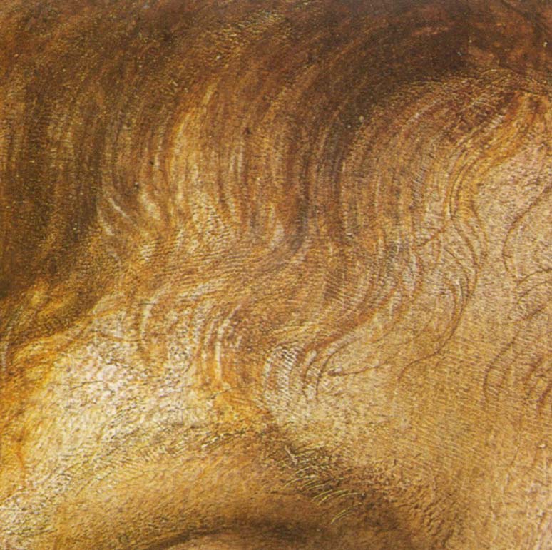 Capelli e sopracciglio di Cristo