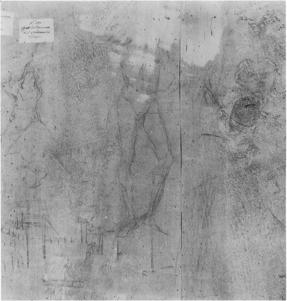 Andrea del Verrocchio e Leonardo da Vinci, Battesimo di Cristo, dettaglio del retro della tavola