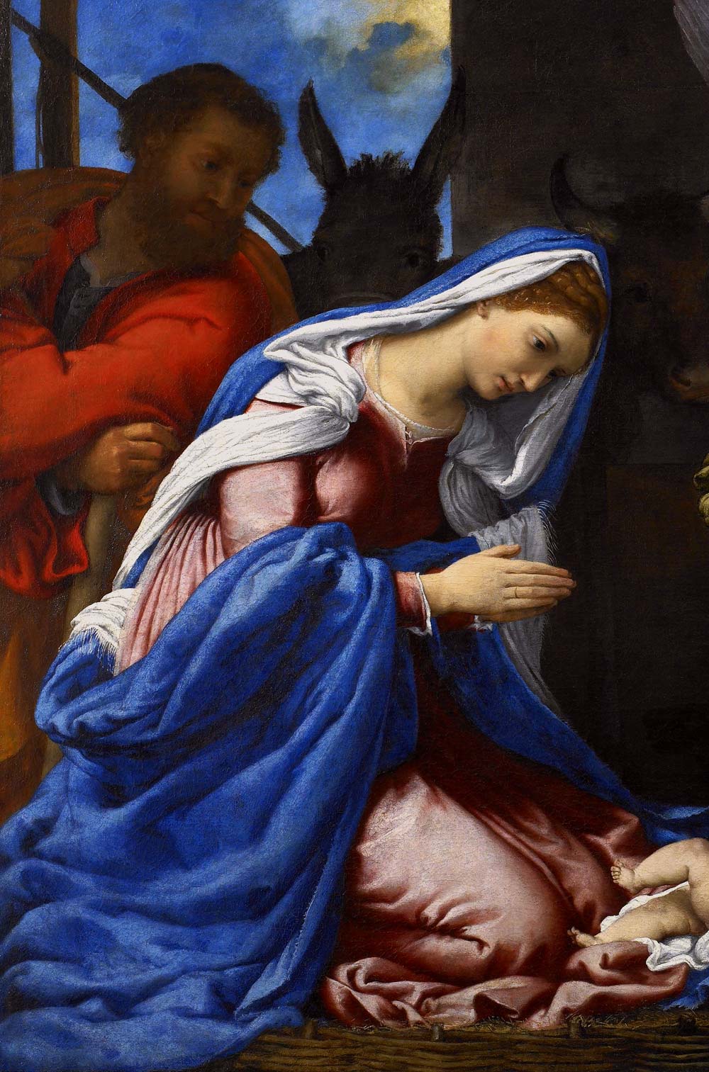 Lorenzo Lotto, Adorazione dei pastori, dettaglio