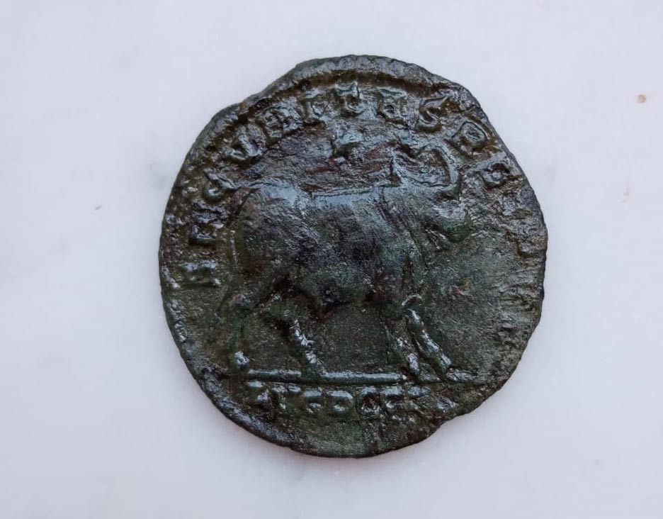 Bronze coin of Julian with the bull Api from the Roman Villa of Varignano