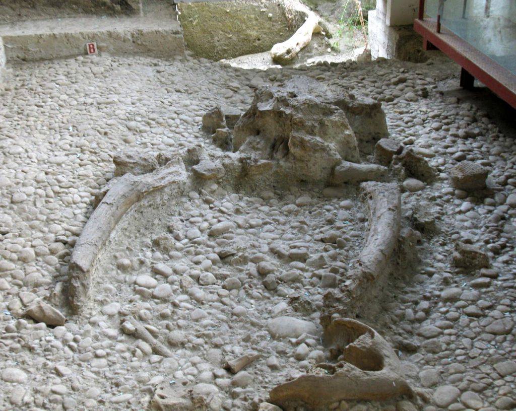 Archaeological area of Notarchirico