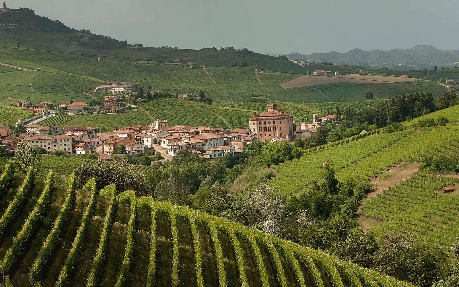 The village of Barolo. Photo Association for the Heritage of the Wine-growing Landscapes of Langhe-Roero and Monferrato