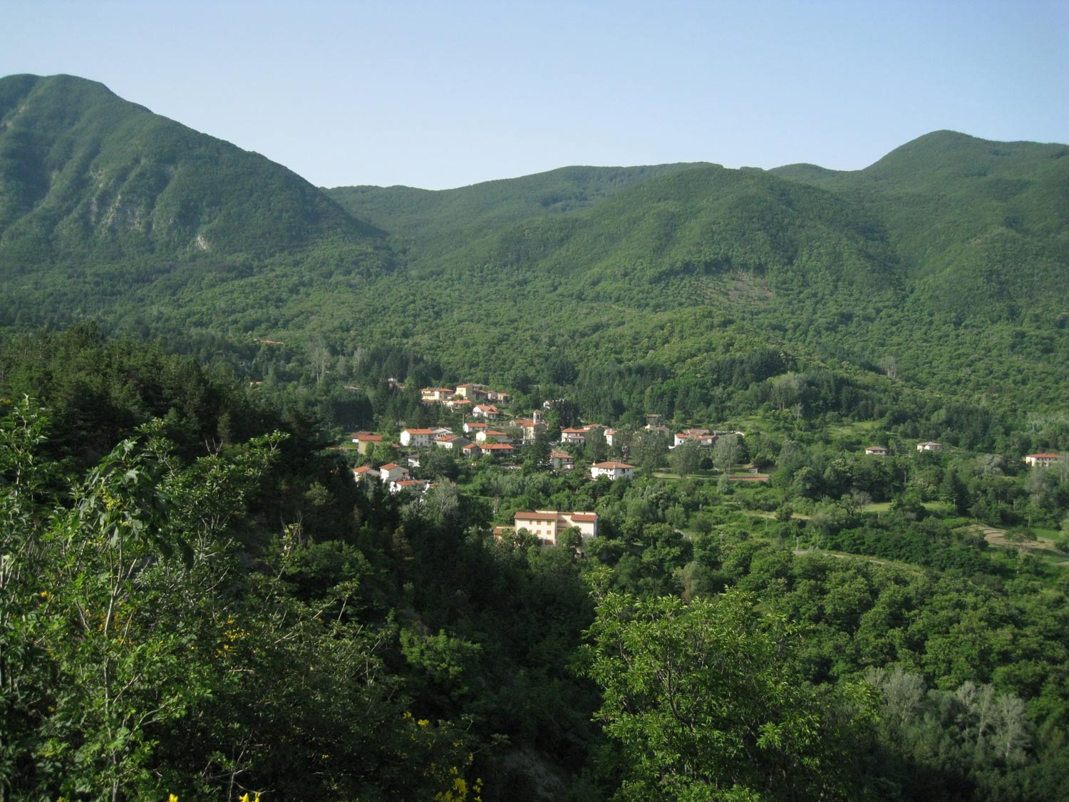 Castagno d'Andrea. Foto Casentino Forest National Park