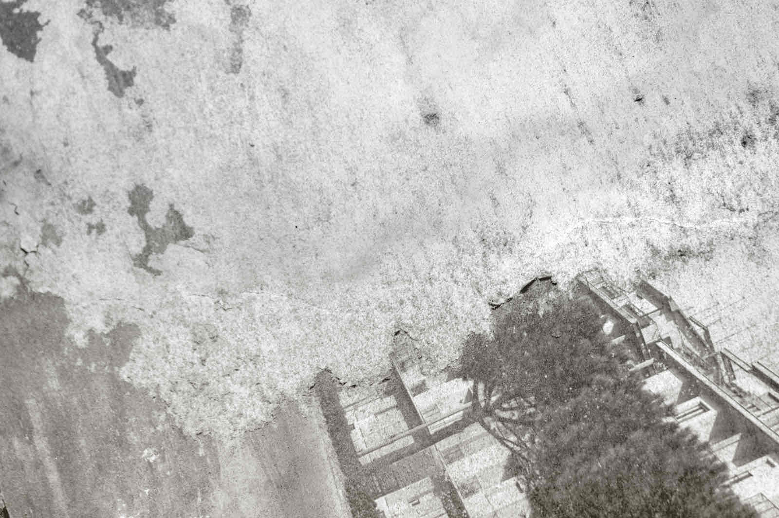 Caterina Erica Shanta
