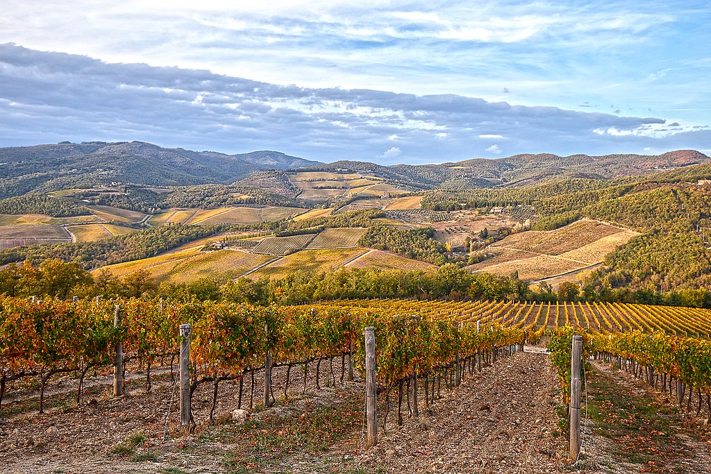 Colinas del Chianti. Foto Wikimedia/Repuli