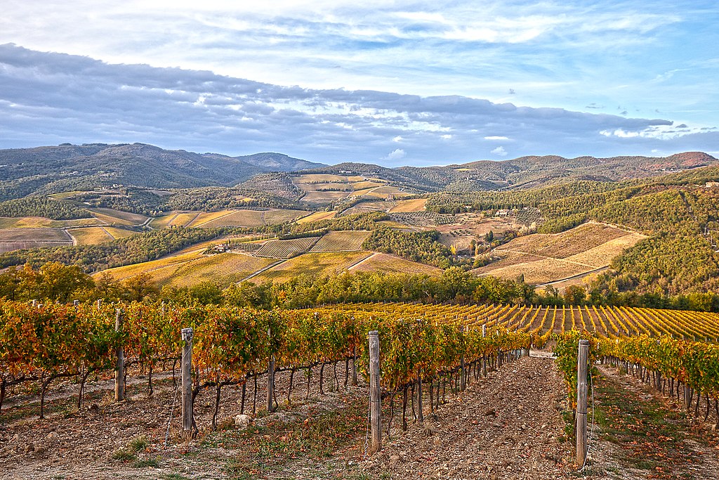 Colline del Chianti. Foto Wikimedia/Repuli