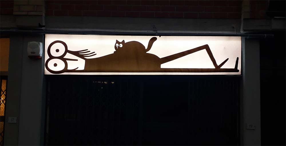 Un gatto sull'Aurelia l'intervento di Fausto Gilberti per il progetto