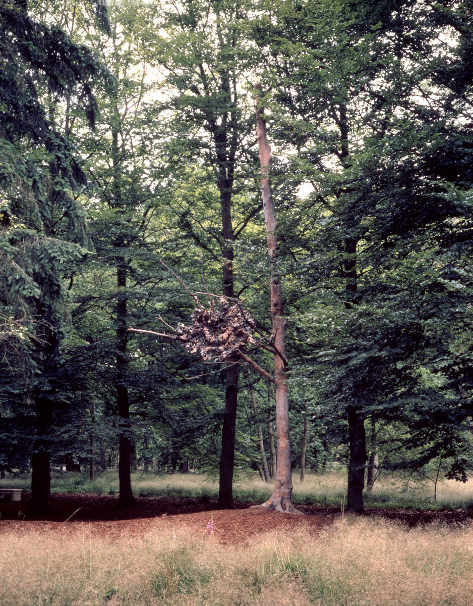 Giuseppe Penone, Faggio di Otterlo (1988; bronzo, 1000 x 200 x 150 cm; Otterlo, Kröller-Müller Museum)
