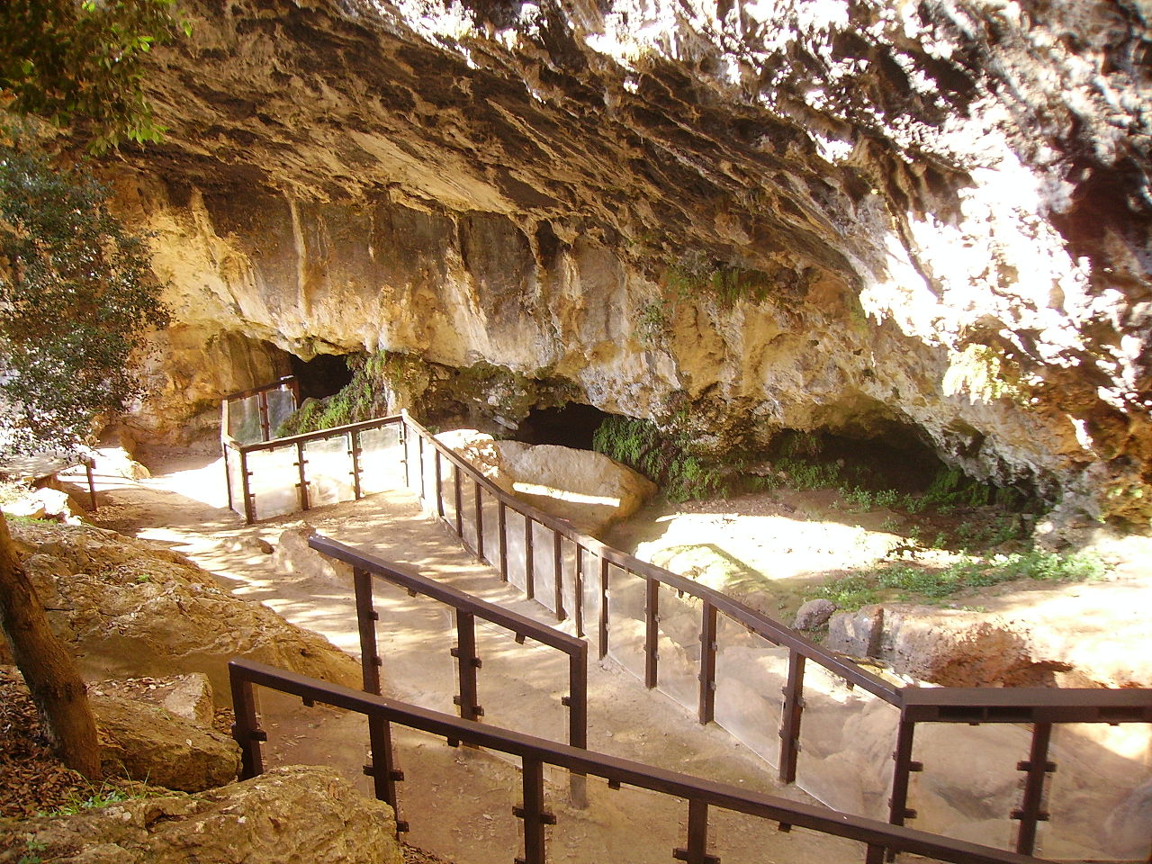 Grotte del Romito