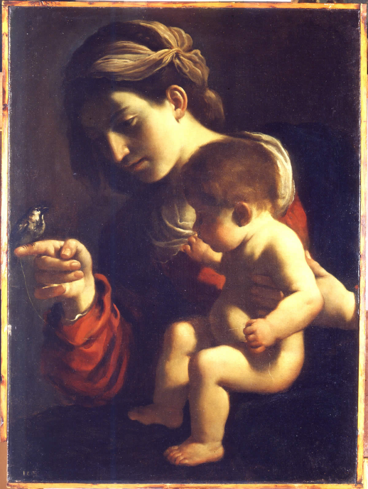 Guercino, Madonna del Passero (1615-1616; olio su tela, 78,5 x 58 cm; Bologna, Pinacoteca Nazionale)
