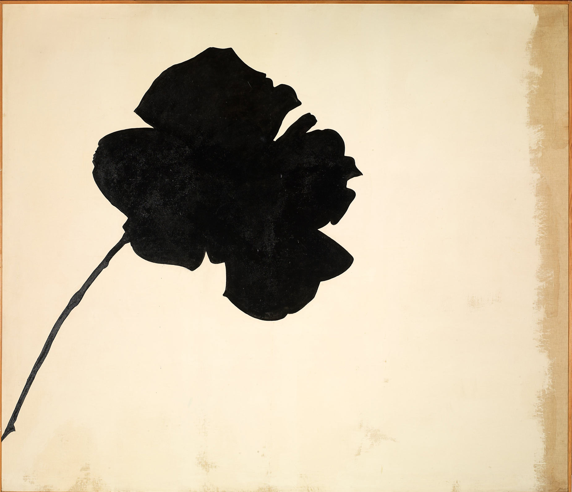 Jannis Kounellis, Rosa nera (1966; smalto su tela; Milano, Museo del Novecento)
