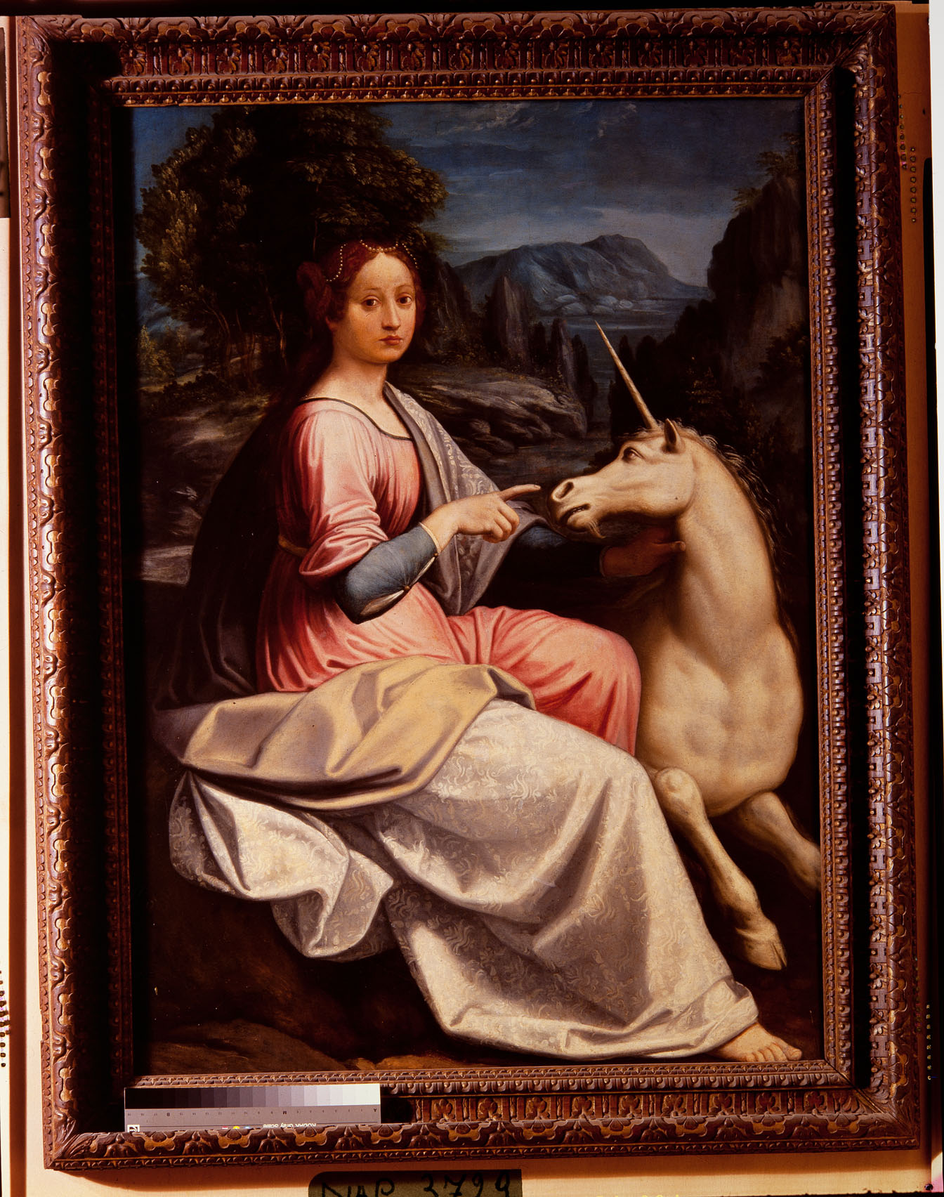 Luca Longhi, Giovane donna con unicorno (1535-1540; olio su tavola, 132 x 98 cm; Roma, Museo Nazionale di Castel Sant'Angelo)