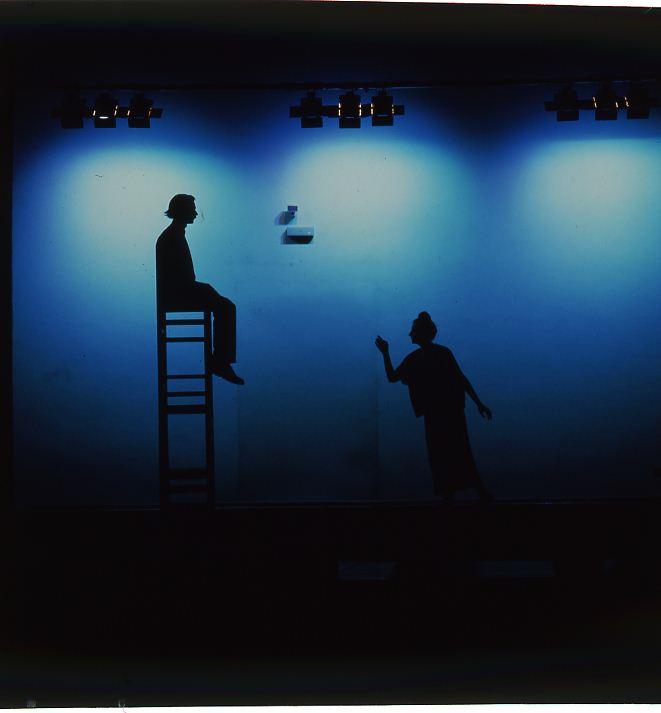 Marina Abramovi&cacute; e Ulay, Modus vivendi (1985; performance)
