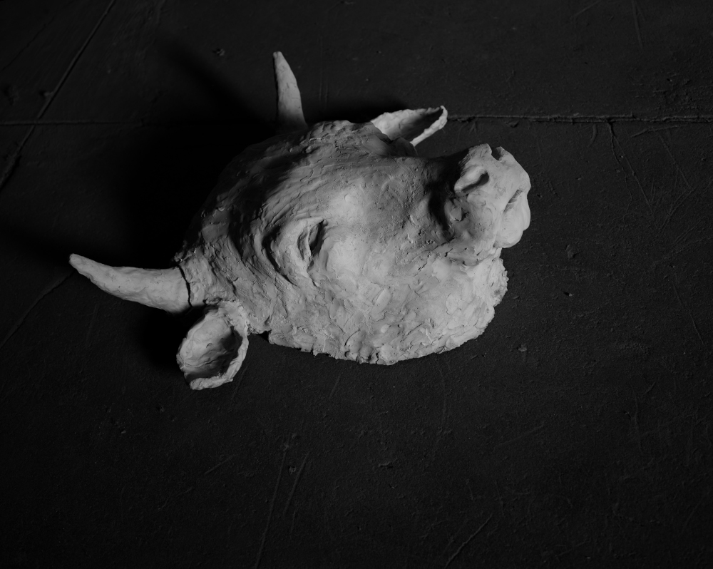 Ryan Mendoza, Cow Head