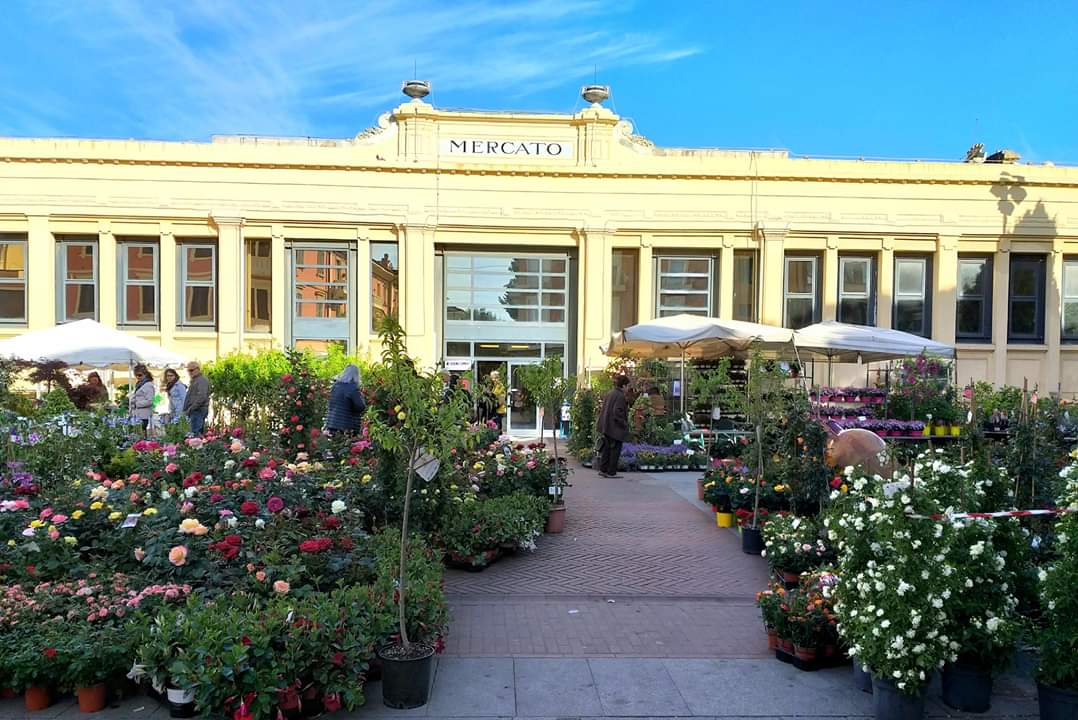 The Covered Market