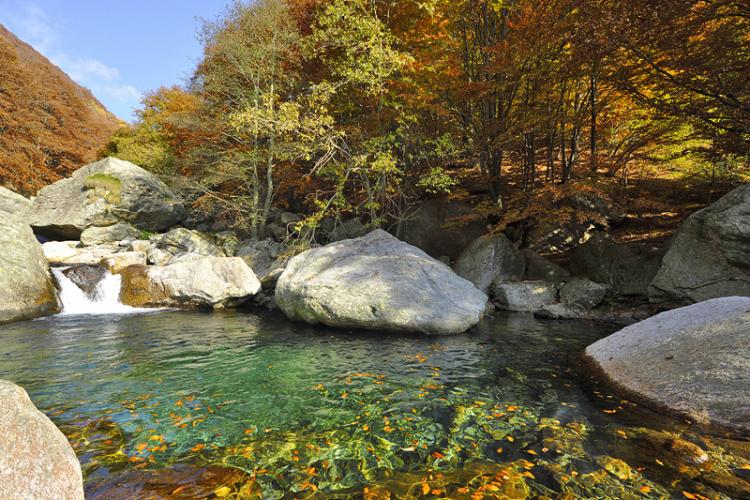 El Parque Nacional de Val Grande. Foto Distrito Turístico de los Lagos, Montes y Valles de Ossola