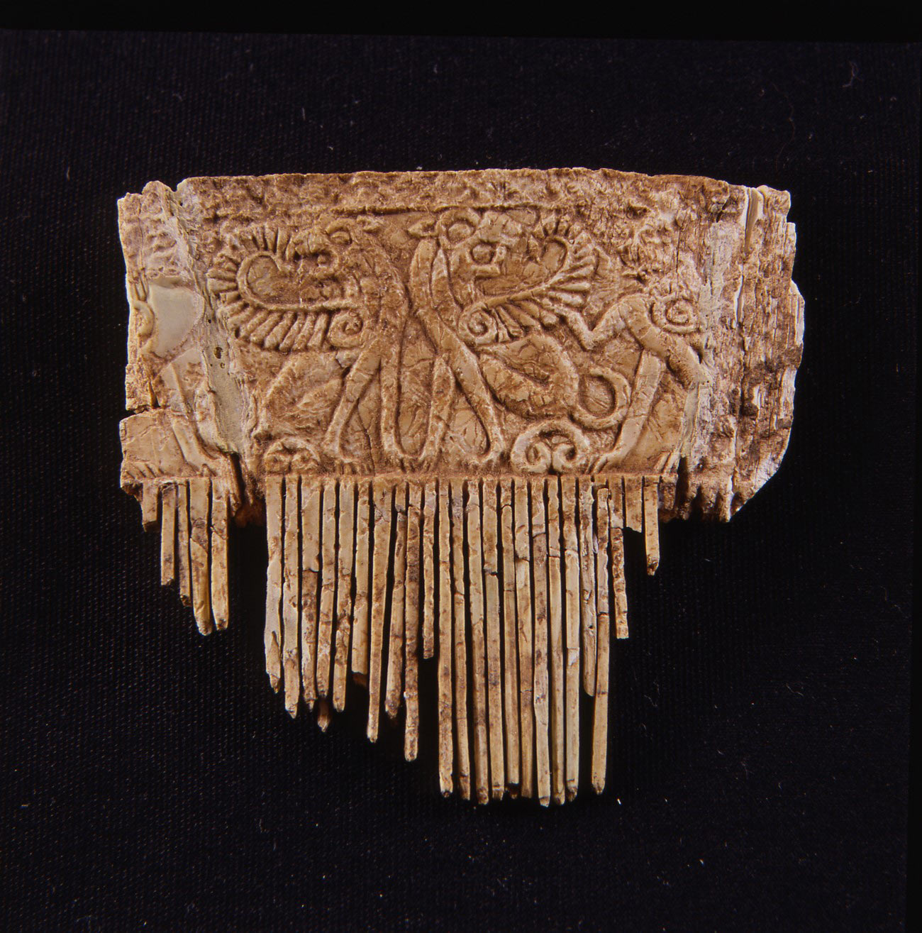 Ivory comb with winged lions from the Poggione necropolis