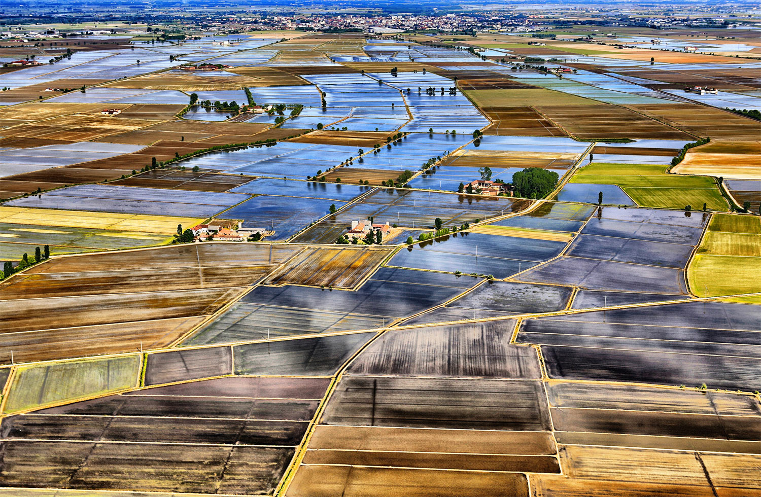 Il mare a quadretti delle risaie