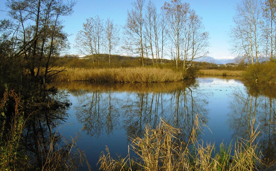 Riserva naturale della Palude Brabbia