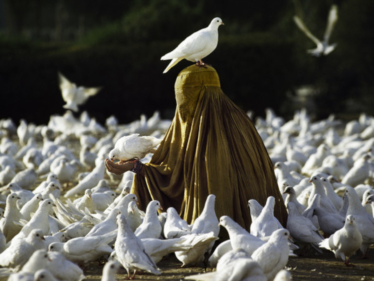 Steve McCurrys Ausstellung in Palermo, die die Freiheit der afghanischen Frauen anprangert