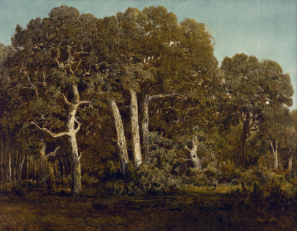 Théodore Rousseau, Le grandi querce di Bas-Bréau (1864; olio su tela, 116,8 x 90,2 cm; Houston, Museum of Fine Arts)
