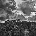 L'Amazzonia di Sebastião Salgado è in mostra al MAXXI di Roma