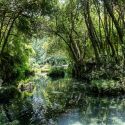 La Reggia di Caserta dedica una grande mostra alla storia del giardino, con duecento opere