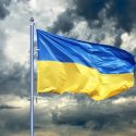 Librerie ed editoria unite a sostegno dell'Ucraina: vetrine vestite con i colori della bandiera
