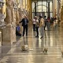 Musei Vaticani, turista danneggia due busti romani gettandoli a terra