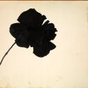 Jannis Kounellis, il greco dell'Arte Povera. Vita, stile, opere 