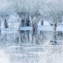 Un lago ghiacciato in ricordo dell'amico scomparso: italiano vince premio al Wildlife Photographer of the Year