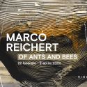 Milano, Ribot presenta “Of ants and bees”, personale del tedesco Marco Reichert