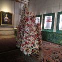 Domenico Parodi, artista green nella Genova barocca: la mostra di Palazzo Nicolosio Lomellino