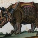 Gli animali del duca di Urbino: i libri di zoologia di Francesco Maria II alla Biblioteca Alessandrina